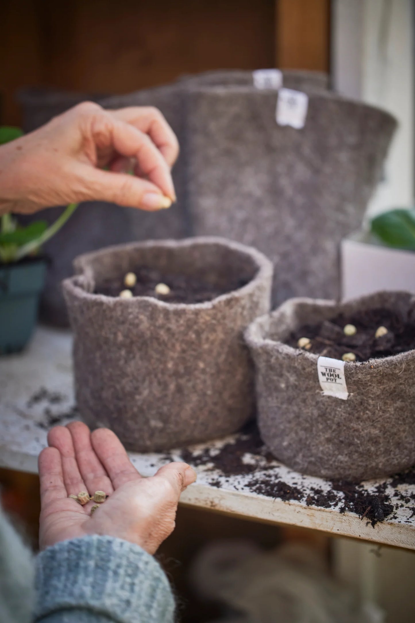 Exquisite Wools - Wool Pot - 3 Pack 1L capacity