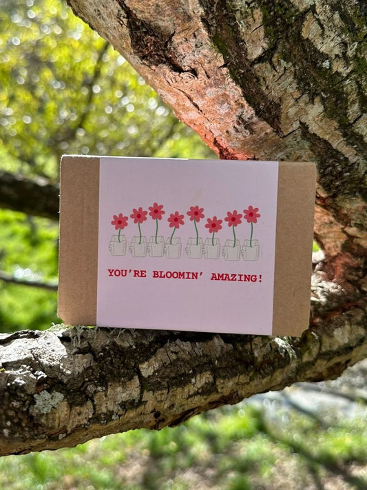 Floating Peaks - The Bloom Box