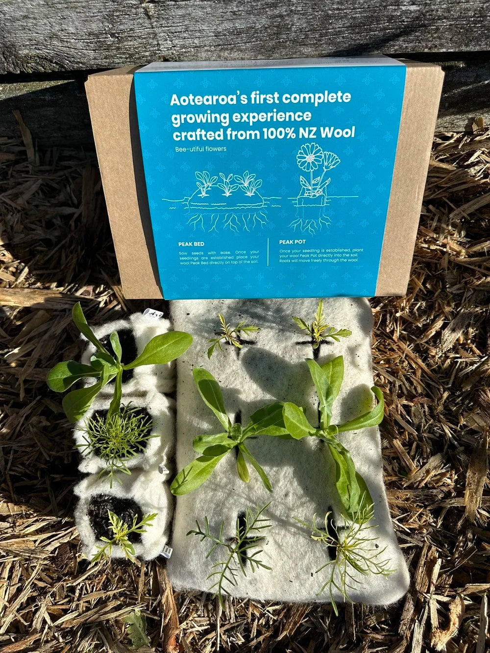 Floating Peaks - The Bee Pack