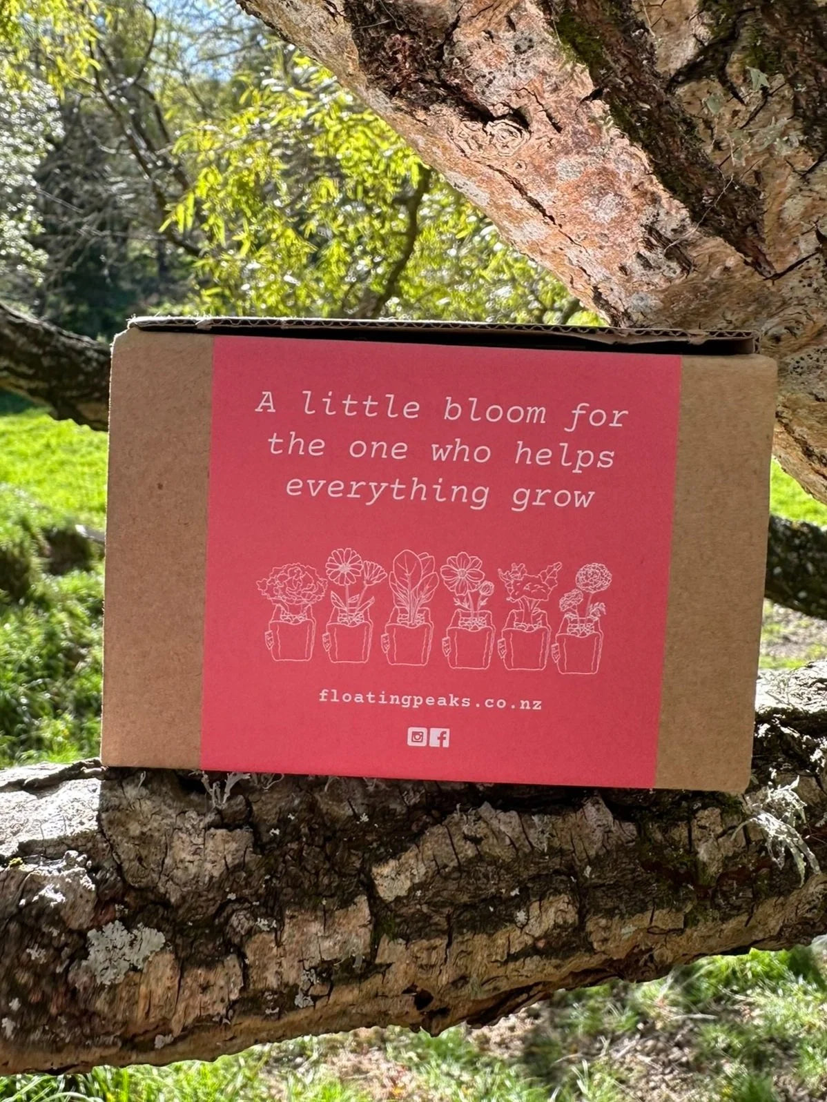 Floating Peaks - The Bloom Box