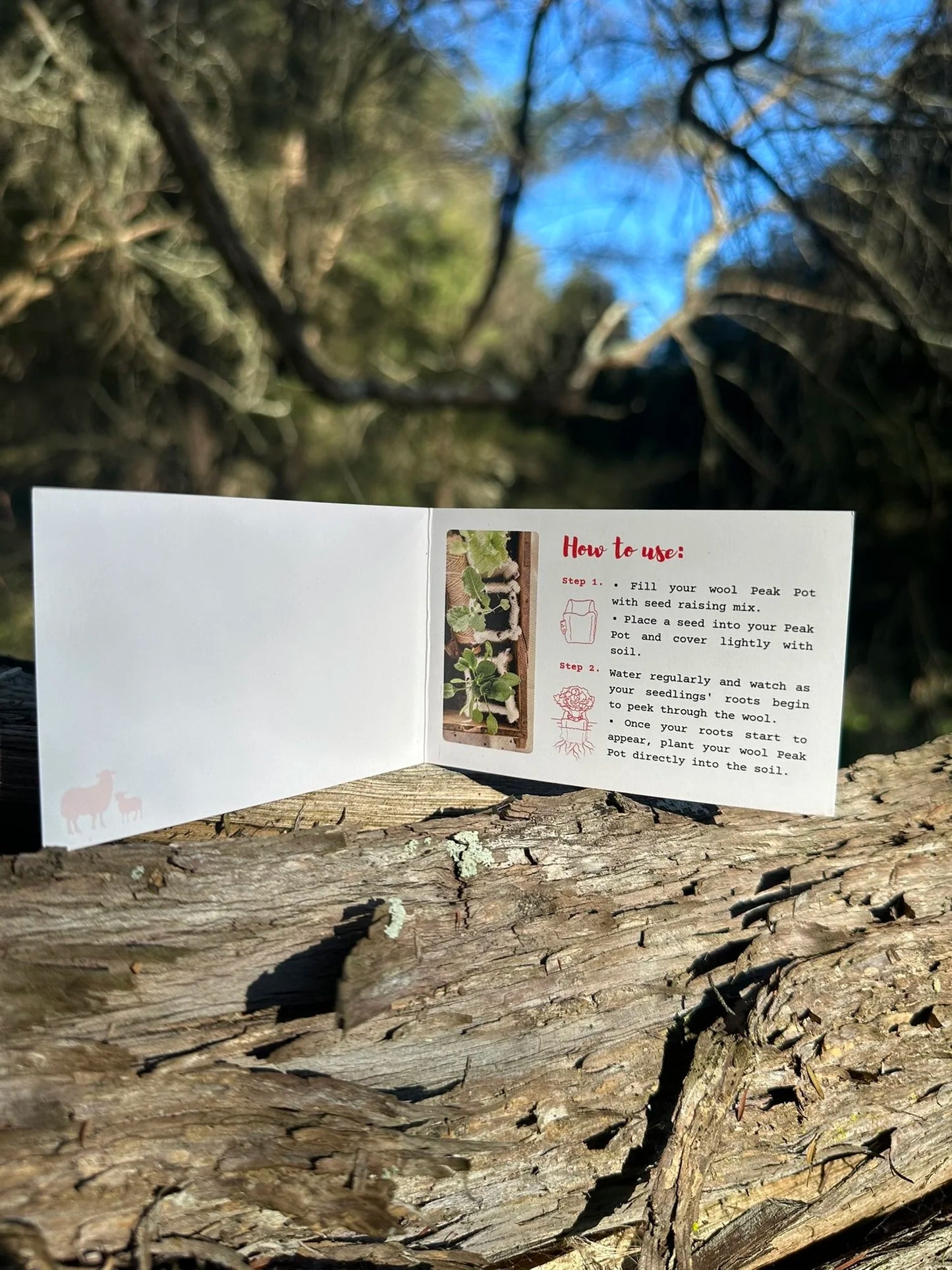 Floating Peaks - The Bloom Box