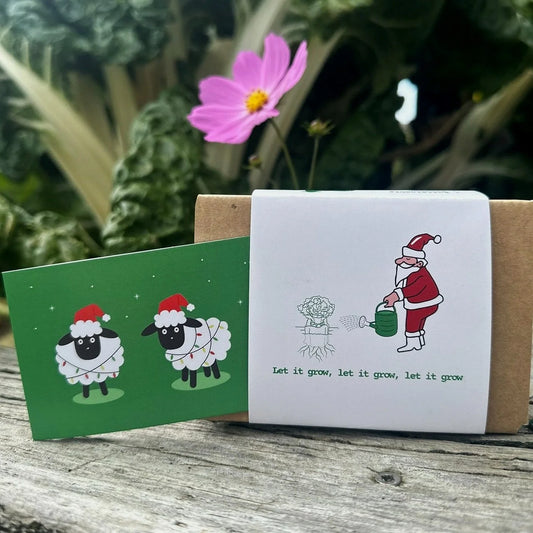 Floating Peaks - The Christmas Box