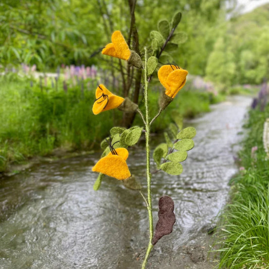 Little Lammies - Felted Kowhai