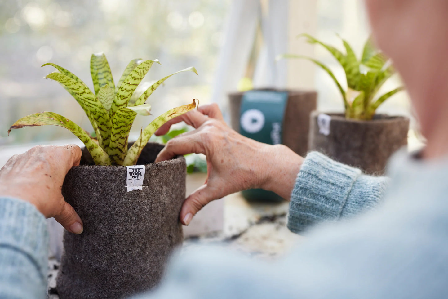 Exquisite Wools - Wool Pot  - 3 Pack 1L capacity