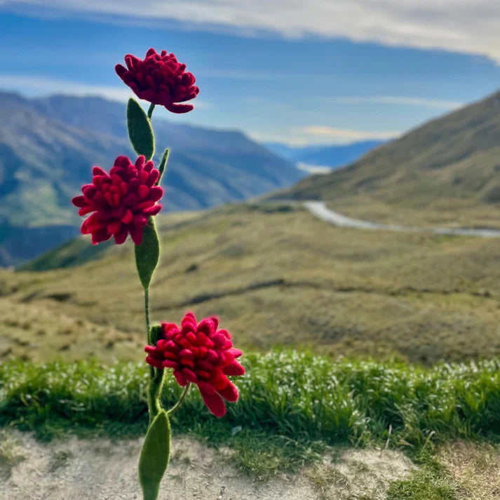 Little Lammies - Felted Pōhutukawa