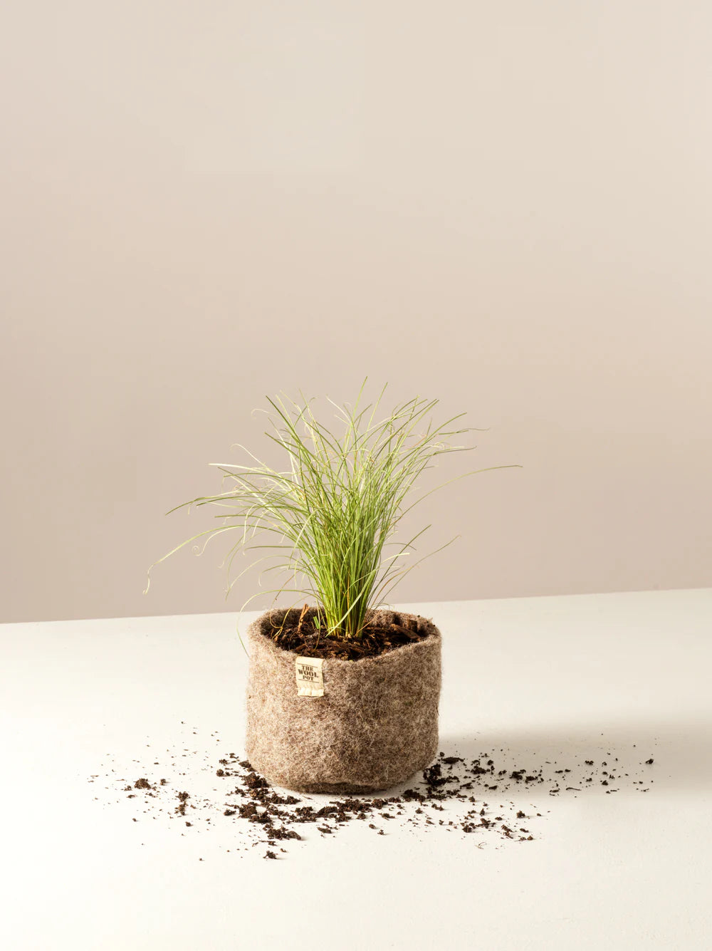 Exquisite Wools - Wool Pot  - 3 Pack 1L capacity