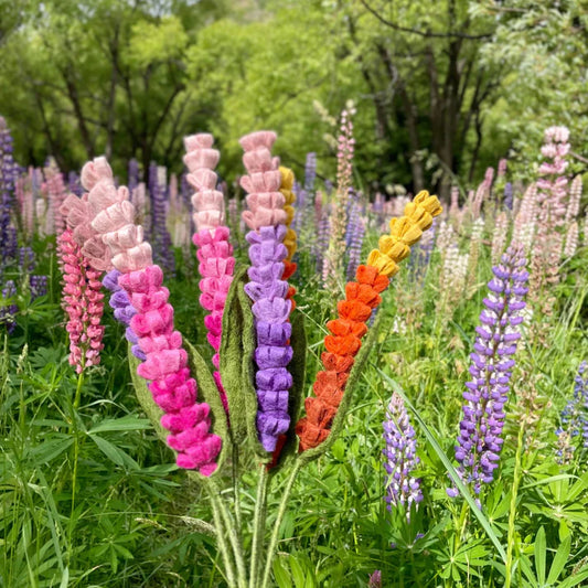 Little Lammies - Felted Lupins